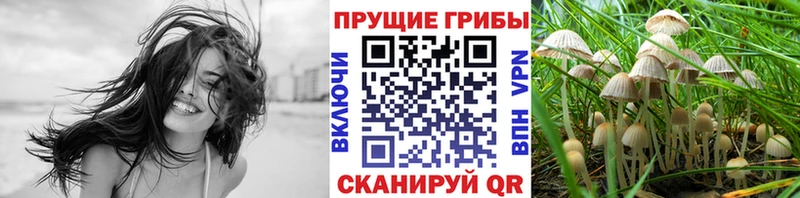купить закладку Невельск гидра зеркало Псилоцибиновые грибы GOLDEN TEACHER